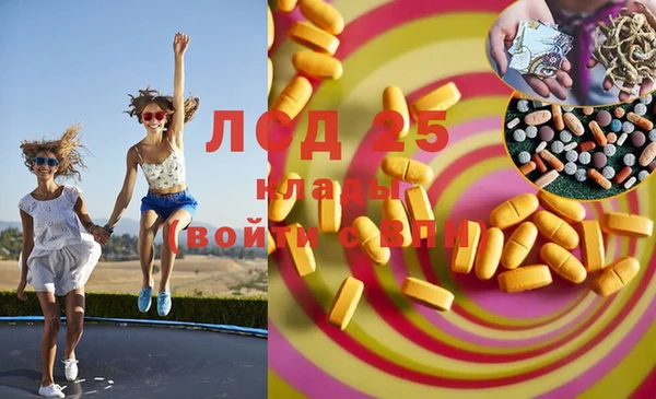 ПСИЛОЦИБИНОВЫЕ ГРИБЫ Балахна
