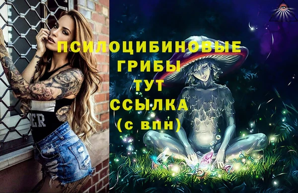 дмт Армянск