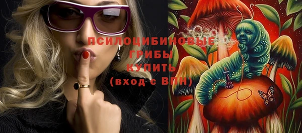 прущие грибы Арсеньев