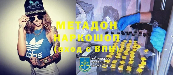 прущие грибы Арсеньев