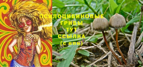 mix Аркадак