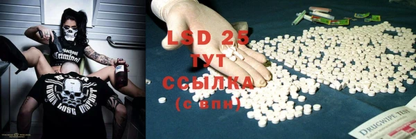 ПСИЛОЦИБИНОВЫЕ ГРИБЫ Балахна