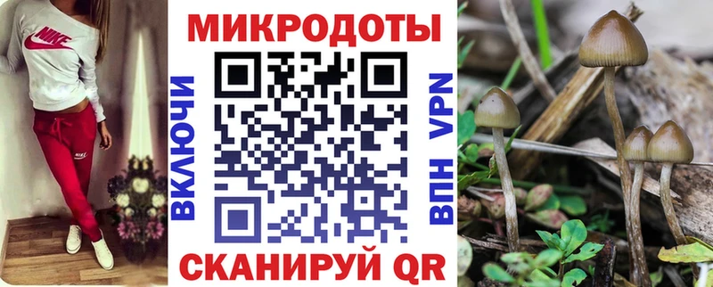 где можно купить наркотик  Мичуринск  Галлюциногенные грибы мухоморы 